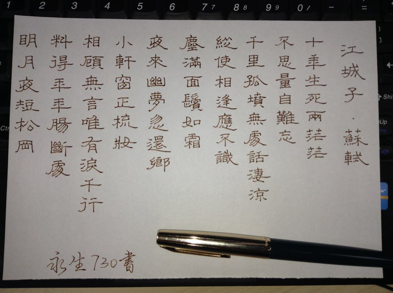 苏轼《江城子》钢笔字笔友习作欣赏