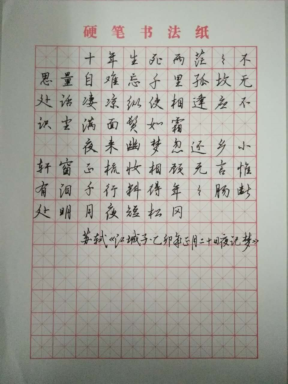 苏轼《江城子》钢笔字笔友习作欣赏