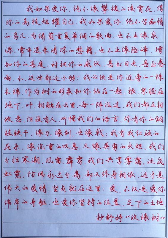 舒婷致橡树钢笔字笔友习作欣赏