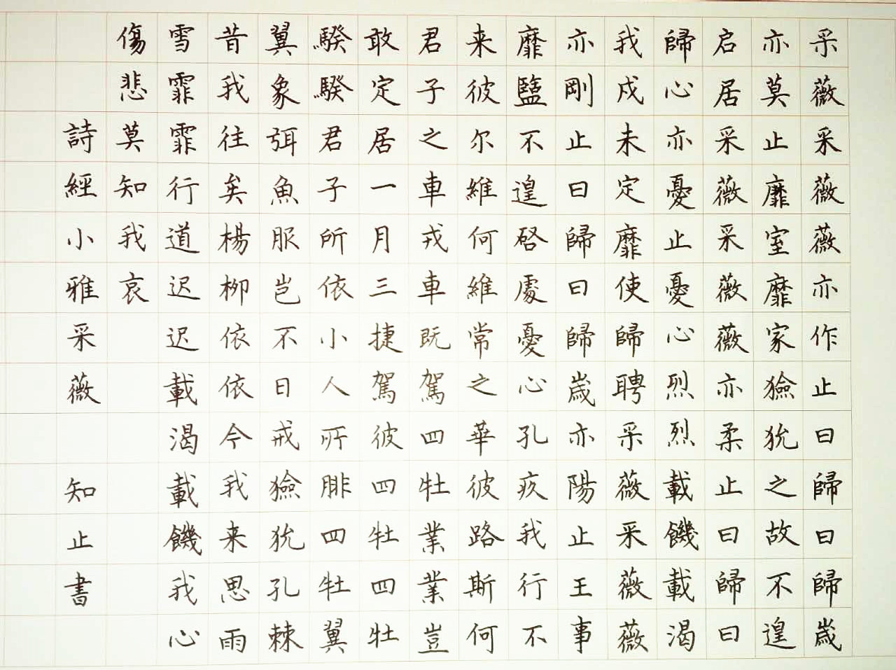 《诗经.小雅.采薇》钢笔字笔友习作欣赏 | 钢笔爱好者