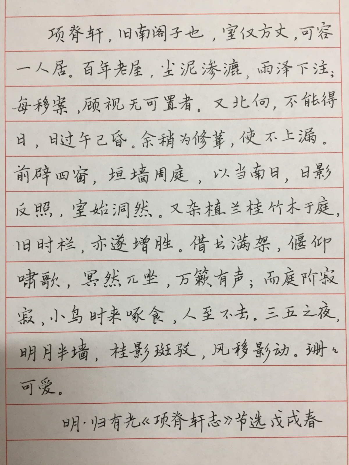 归有光《项脊轩志》手写钢笔字笔友钢笔书法写作欣赏 | 钢笔爱好者