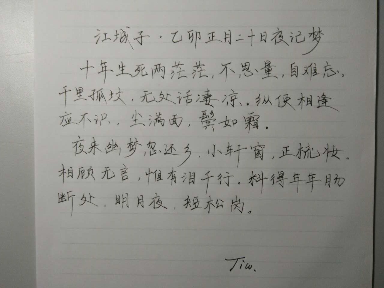 苏轼《江城子》钢笔字笔友习作欣赏