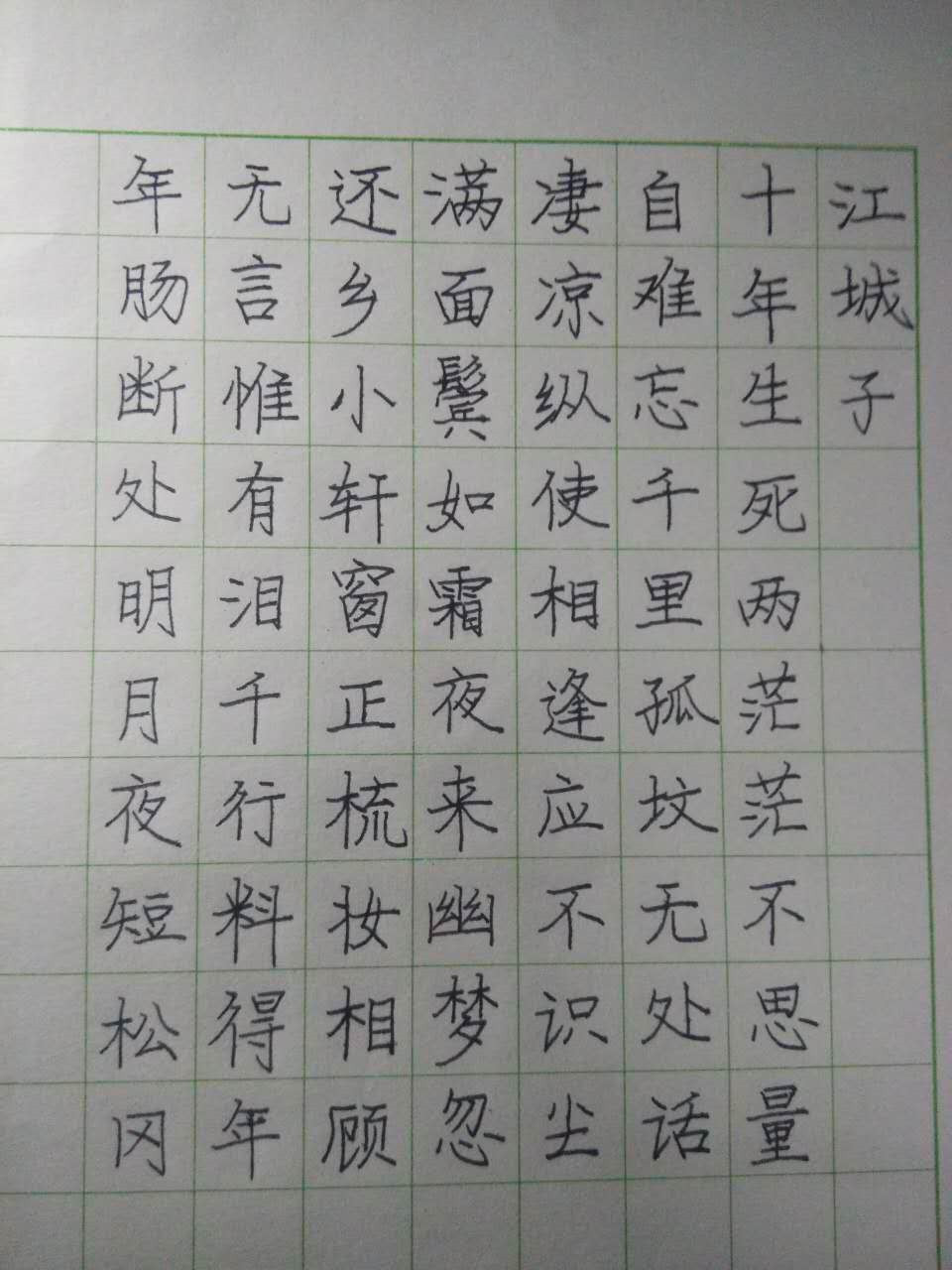 苏轼《江城子》钢笔字笔友习作欣赏